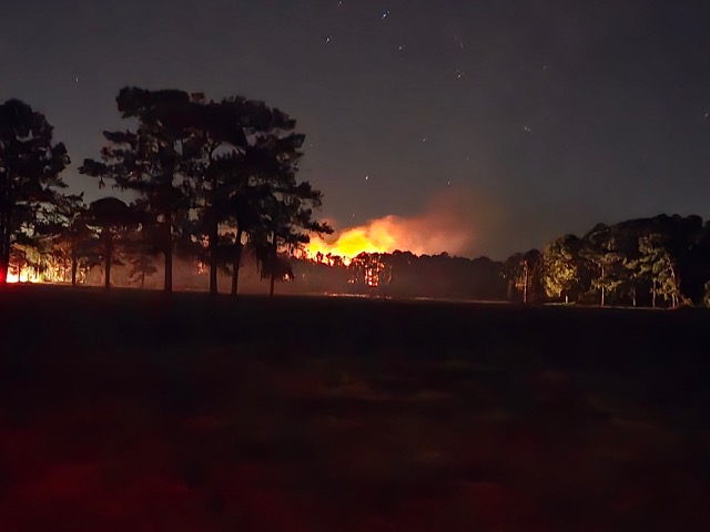 Flames light up the night sky north of Alachua on Friday as firefighters and forestry crews work to contain a five-acre brush fire near County Roads 241 and 236. / Photo special to Alachua County Today