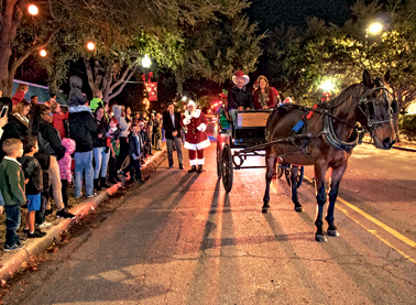 W - Carson - alachua Tree Lighting DSC4952